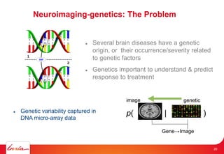 Neuroimaging-genetics: The Problem
 Several brain diseases have a genetic
origin, or their occurrence/severity related
to genetic factors
 Genetics important to understand & predict
response to treatment
 Genetic variability captured in
DNA micro-array data
p( )|
Gene→Image
geneticimage
20
 