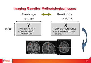 Imaging Genetics Methodological Issues
Genetic dataBrain image
Y
~105-106
~2000
X
~105-106
– Anatomical MRI
– Functional MRI
– Diffusion MRI
– DNA array (SNP/CNV)
– gene expression data
– others...
- 21
 