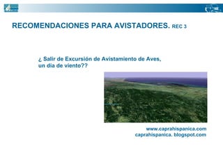 RECOMENDACIONES PARA AVISTADORES.  REC 3 ¿ Salir de Excursión de Avistamiento de Aves,  un día de viento?? www.caprahispanica.com caprahispanica. blogspot.com 