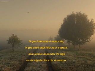 O que interessa é essa vida,

e que você seja feliz aqui e agora,

  sem jamais depender de algo

ou de alguém fora de si mesmo.
 