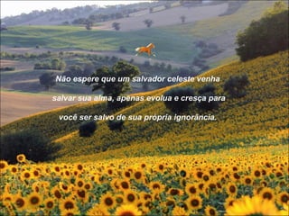 Não espere que um salvador celeste venha

salvar sua alma, apenas evolua e cresça para

 você ser salvo de sua própria ignorância.
 