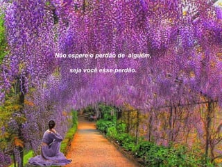 Não espere o perdão de alguém,

    seja você esse perdão.
 