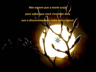 Não espere que a morte surja

  para saber que você vive além dela,

use o discernimento e saiba disso agora!
 