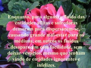 Enquanto, para alguns, o fluido das entidades aflitas e sofredoras demoram para dispersarem-se, causando grande mal-estar para os médiuns, em outros os fluidos desaparecem com facilidade, sem deixar vestígios, mesmo que tenham vindo de entidades ignorantes e infelizes. 