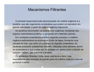 Mecanismos Filtrantes 
O principal responsável pela decomposição de matéria orgânica é a 
bactéria, que são organismos unicelulares que podem se reproduzir em 
grande velocidade, a partir da matéria orgânica disponível. 
As bactérias decompõem as substâncias orgânicas complexas dos 
esgotos (carboidratos,proteínas e gorduras) em materiais solúveis. 
Em condições anaeróbicas,ocorre o seguinte processo: a matéria 
orgânica sedimentável se acumula no fundo da lagoa, formando uma 
camada de lodo, que sofre um processo de digestão anaeróbica. As 
bactérias produzem substancias solúveis, utilizadas como alimento dentro 
do ecossistema e que podem ser convertidas em gases como o dióxido de 
carbono, metano, gás sulfídrico e amônia. 
Os ambientes filtrantes ( brita, areia, pedriscos e terra ) são 
responsáveis pela remoção de grande parte da matéria orgânica como as 
gorduras e sabão. 
 