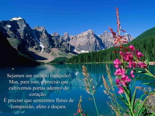 Sejamos um recanto tranquilo!
Mas, para isso, é preciso que
cultivemos portas adentro do
coração.
É preciso que semeemos flores de
compaixão, afeto e doçura.

 