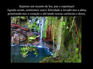 Sejamos um recanto de luz, paz e esperança!
Agindo assim, sentiremos suave felicidade a invadir-nos a alma,
penetrando-nos o coração e aliviando nossas carências e dores.

 