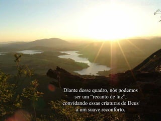 Diante desse quadro, nós podemos
ser um “recanto de luz”,
convidando essas criaturas de Deus
à um suave reconforto.

 
