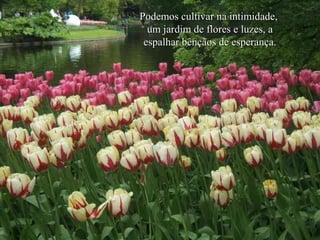 Podemos cultivar na intimidade,
um jardim de flores e luzes, a
espalhar bênçãos de esperança.

 