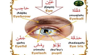 RECAP from learning arabic language powerpoint presentation | PPT