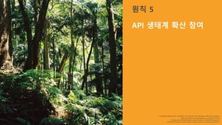 “Lamington National Park, rainforest” by Jussarian. No alterations other than cropping.
https://www.flickr.com/photos/kerr_at_large/87771074/
Image used with permissions under Creative Commons license 2.0,
Attribution Generic License (https://creativecommons.org/licenses/by/2.0/)
원칙 5
API 생태계 확산 참여
 