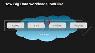 Data Lake
How Big Data workloads look like
Collect Store Analyze Visualize
 