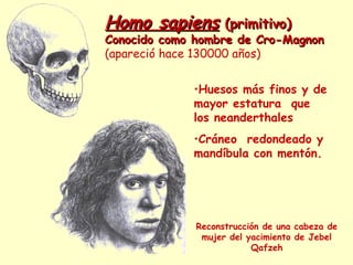 Homo sapiens (primitivo)
Conocido como hombre de Cro-Magnon
(apareció hace 130000 años)


             •Huesos más finos y de
             mayor estatura que
             los neanderthales
             •Cráneo redondeado y
             mandíbula con mentón.




              Reconstrucción de una cabeza de
               mujer del yacimiento de Jebel
                          Qafzeh
 