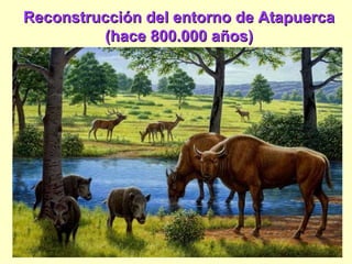 Reconstrucción del entorno de Atapuerca
         (hace 800.000 años)
 