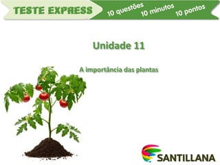 Unidade 11
A importância das plantas
 