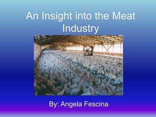 An Insight into the Meat
        Industry




     By: Angela Fescina
 