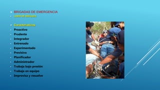  BRIGADAS DE EMERGENCIA
 LIDER DE BRIGADA
 Características
• Proactivo
• Prudente
• Integrador
• Entrenado
• Experimentado
• Previsivo
• Planificador
• Administrador
• Trabaja bajo presión
• Trabaja en equipo
• Improvisa y resuelve
 