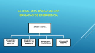 ESTRUCTURA BÁSICA DE UNA
BRIGADAS DE EMERGENCIA
 