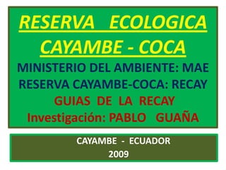 RESERVA   ECOLOGICACAYAMBE - COCAMINISTERIO DEL AMBIENTE: MAERESERVA CAYAMBE-COCA: RECAYGUIAS  DE  LA  RECAYInvestigación: PABLO   GUAÑA CAYAMBE  -  ECUADOR                                           2009 