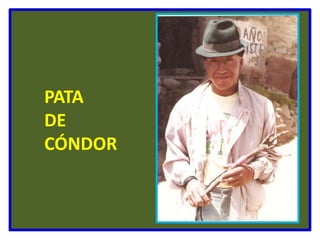        PATA        DE        CÓNDOR
