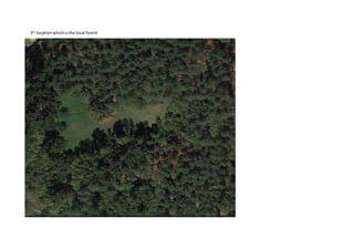 3rd
locationwhichisthe local forest
 