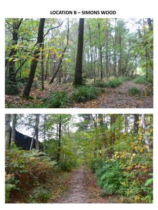 LOCATION B – SIMONS WOOD

 