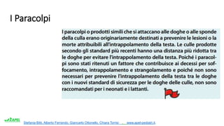 Stefania Bitti, Alberto Ferrando, Giancarlo Ottonello, Chiara Torrisi . www.apel-pediatri.it.
I Paracolpi
 