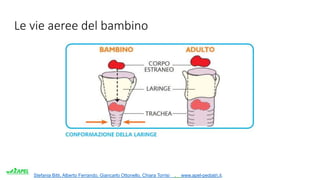 Stefania Bitti, Alberto Ferrando, Giancarlo Ottonello, Chiara Torrisi . www.apel-pediatri.it.
Le vie aeree del bambino
 