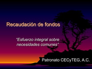 Recaudación de fondos

   “Esfuerzo integral sobre
   necesidades comunes”


                 Patronato CECyTEG, A.C.
 