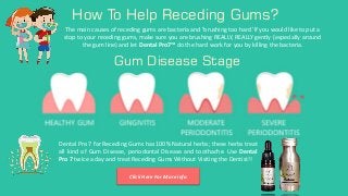 How To Help Receding Gums?
How To Help Receding Gums?
The main causes of receding gums are bacteria and 'brushing too hard 'If you would like to put a
stop to your receding gums, make sure you are brushing REALLY, REALLY gently (especially around
the gum line) and let Dental Pro7™ do the hard work for you by killing the bacteria.
Gum Disease Stage
Click Here For More info
Dental Pro 7 for Receding Gums has 100% Natural herbs; these herbs treat
all kind of Gum Disease, periodontal Disease and toothache. Use Dental
Pro 7 twice a day and treat Receding Gums Without Visiting the Dentist!!
 