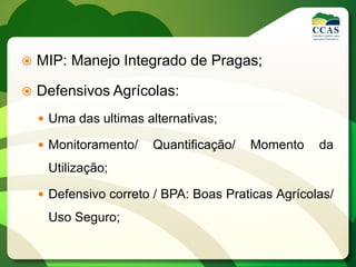  MIP: Manejo Integrado de Pragas;
 Defensivos Agrícolas:
 Uma das ultimas alternativas;
 Monitoramento/ Quantificação/ Momento da
Utilização;
 Defensivo correto / BPA: Boas Praticas Agrícolas/
Uso Seguro;
 