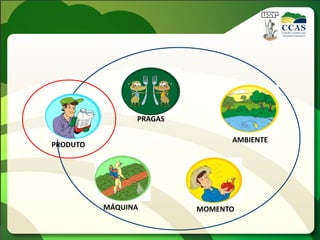 PRODUTO
AMBIENTE
PRAGAS
MOMENTOMÁQUINA
 