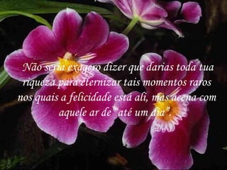   Não seria exagero dizer que darias toda tua riqueza para eternizar tais momentos raros nos quais a felicidade está ali, mas acena com aquele ar de “até um dia”.   