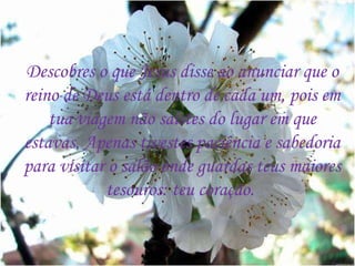 Descobres o que Jesus disse ao anunciar que o reino de Deus está dentro de cada um, pois em tua viagem não saístes do lugar em que estavas. Apenas tivestes paciência e sabedoria para visitar o salão onde guardas teus maiores tesouros: teu coração.  