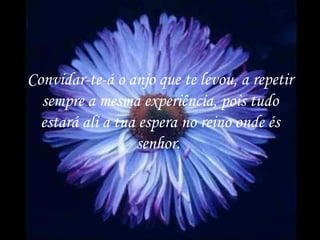 Convidar-te-á o anjo que te levou, a repetir sempre a mesma experiência, pois tudo estará ali a tua espera no reino onde és senhor.   