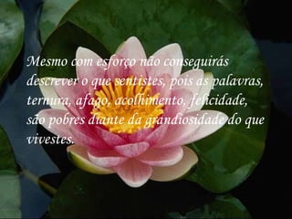 Mesmo com esforço não conseguirás descrever o que sentistes, pois as palavras, ternura, afago, acolhimento, felicidade, são pobres diante da grandiosidade do que vivestes.  