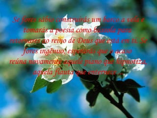 Se fores sábio construirás um barco a vela e tomarás a poesia como bússola para  retornares ao reino de Deus que está em ti. Se fores ingênuo, esperarás que o acaso  reúna novamente aquele piano que hipnotiza, aquela flauta que enternece ... 