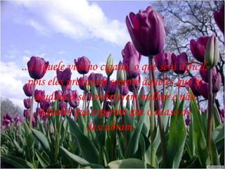 ...e aquele violino cigano, o que será difícil, pois eles procuram sempre àqueles que se ajudam a se conhecerem melhor e não àqueles que esperam que o acaso os descubram.    