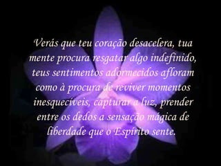 Verás que teu coração desacelera, tua mente procura resgatar algo indefinido, teus sentimentos adormecidos afloram como à procura de reviver momentos inesquecíveis, capturar a luz, prender entre os dedos a sensação mágica de liberdade que o Espírito sente.  