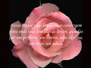 Nesse êxtase tuas lembranças convergem para onde teus sentidos as levam, guiadas por um perfume, um sorriso, uma lágrima, um beijo, um adeus. 