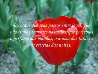Recordas que teus passos eram leves, que não tinhas tremores nas mãos, que percebias o perfume das manhãs, o aroma das tardes e as estrelas das noites.   