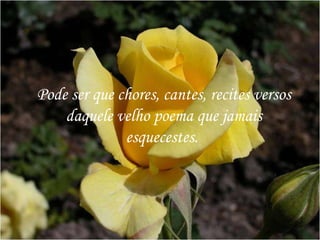 Pode ser que chores, cantes, recites versos daquele velho poema que jamais esquecestes.  