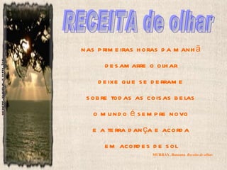 Receitas 1°ano m