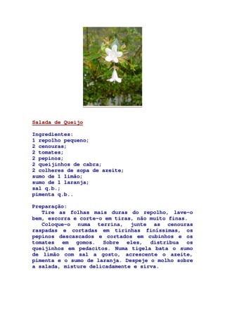 Salada de Queijo
Ingredientes:
1 repolho pequeno;
2 cenouras;
2 tomates;
2 pepinos;
2 queijinhos de cabra;
2 colheres de sopa de azeite;
sumo de 1 limão;
sumo de 1 laranja;
sal q.b.;
pimenta q.b..
Preparação:
Tire as folhas mais duras do repolho, lave-o
bem, escorra e corte-o em tiras, não muito finas.
Coloque-o numa terrina, junte as cenouras
raspadas e cortadas em tirinhas finíssimas, os
pepinos descascados e cortados em cubinhos e os
tomates em gomos. Sobre eles, distribua os
queijinhos em pedacitos. Numa tigela bata o sumo
de limão com sal a gosto, acrescente o azeite,
pimenta e o sumo de laranja. Despeje o molho sobre
a salada, misture delicadamente e sirva.
 