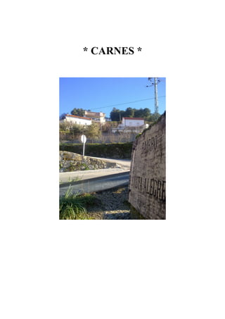 * CARNES *
 