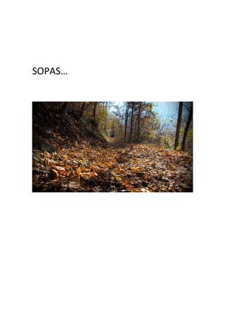SOPAS… 
 
