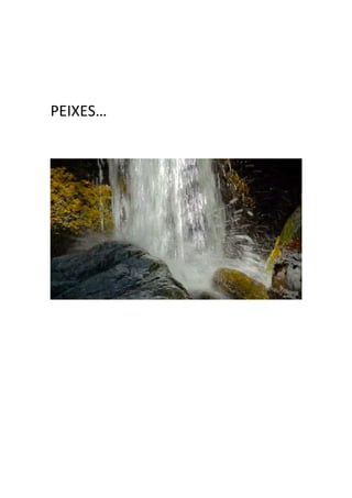 PEIXES… 
 