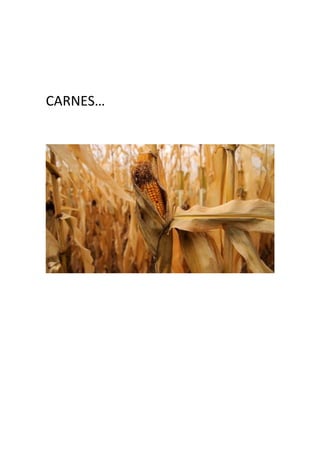 CARNES… 
 