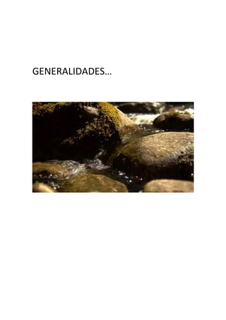 GENERALIDADES… 
 