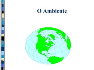 O Ambiente 
Necessidades 
 